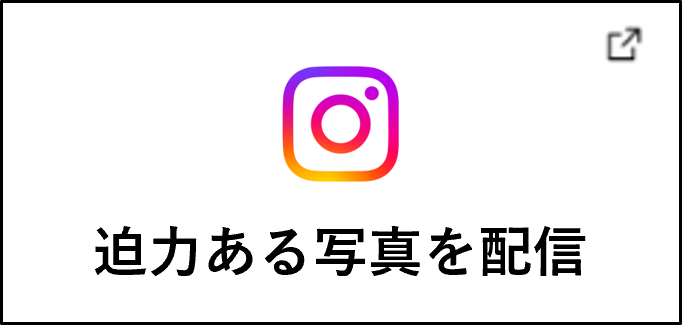 迫力ある写真を配信