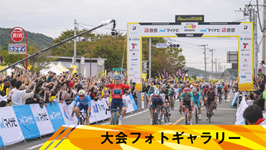 フォトギャラリー