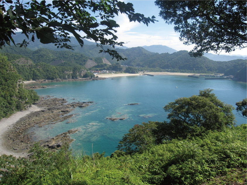 宮崎・大分ステージ パート1